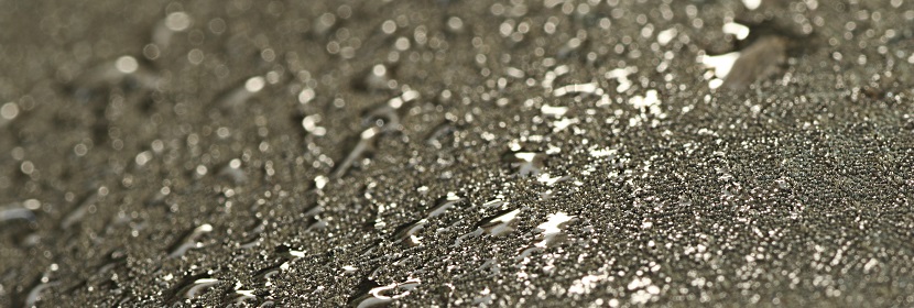 福建省成功研制國內首套工業級電子束冷鏈病毒消殺裝備，這一技術的突破將對冷鏈消殺帶來哪些改變 ?為什么FDA要求消毒效果驗證，中、低等級消毒驗證要分別驗證5種、4種細菌 