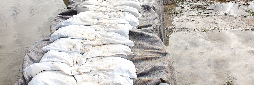 微波爐的滅菌效果到底如何 ?電器做除菌性能測試，用什么測試設備 