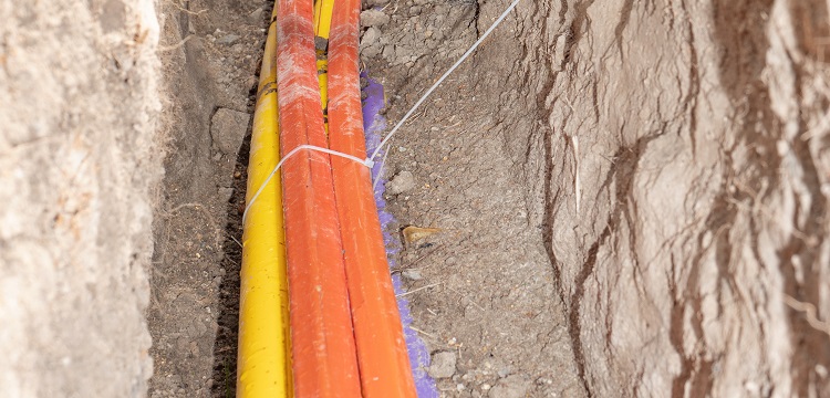 運輸鑒定報告和分類鑒定報告的區別?產品出口寄件 貨物運輸鑒定報告書辦理 健明迪檢測