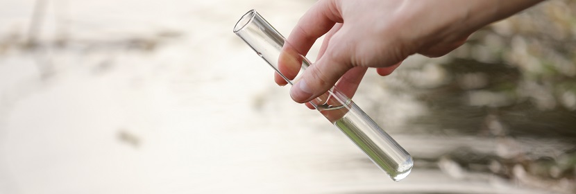 馬來酸酐-丙烯酸共聚物檢測(cè)