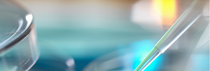 高脂肪飲食誘導小鼠非酒精性脂肪肝模型