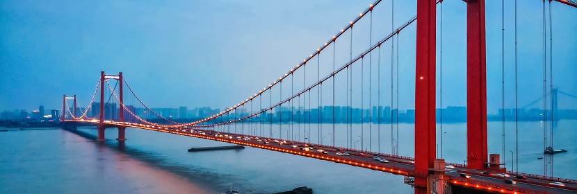 人大細(xì)胞肺癌H460綠色熒光標(biāo)記腫瘤模型