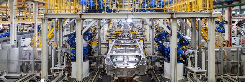 降質(zhì)烷誘導狼瘡心臟病小鼠模型