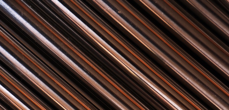 松花粉檢測(cè)