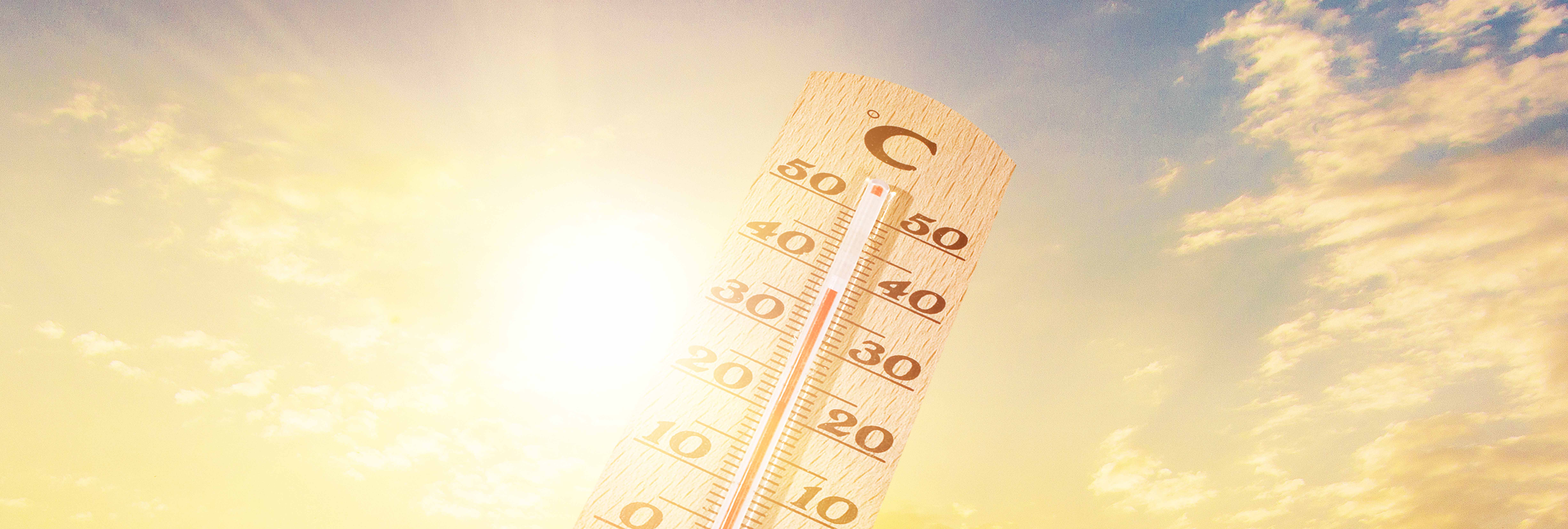 納迪克酸酐檢測