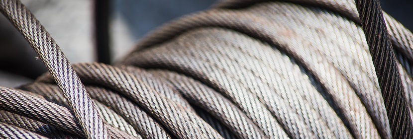 鄰苯類檢測(cè)