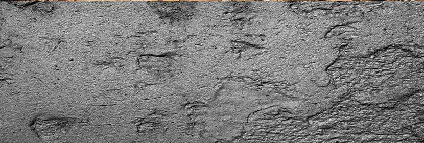 異喹啉檢測(cè)