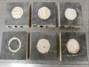 復(fù)硝酚鈉檢測