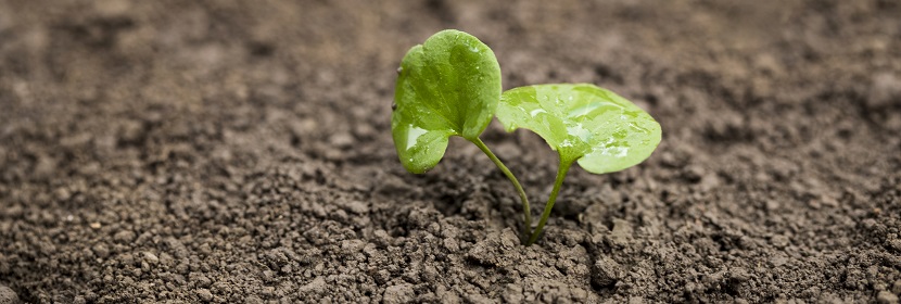 農藥分散性測定