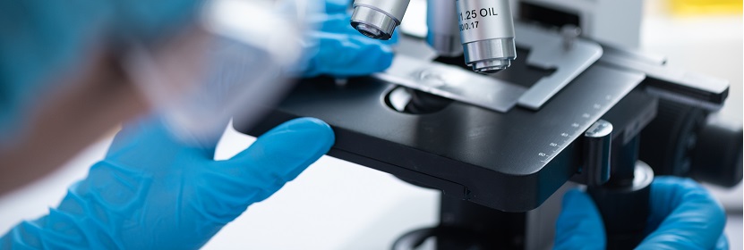 渦輪葉片檢測(cè)