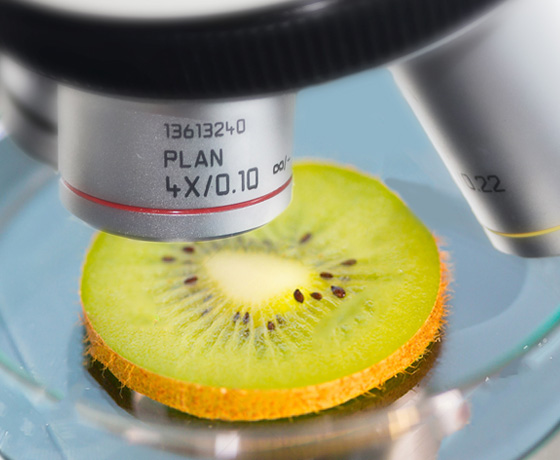 金屬鍍覆層檢測(cè)