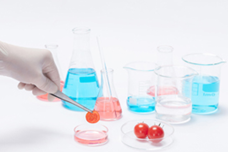 表面波紋度測量