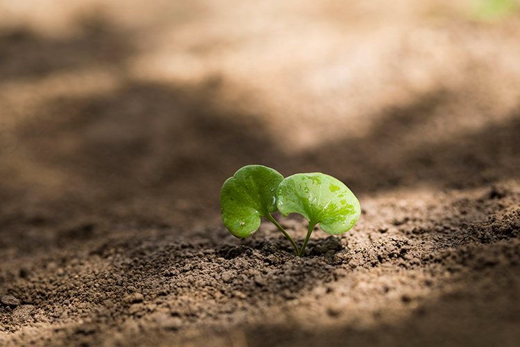 鈹鋁合金檢測(cè)