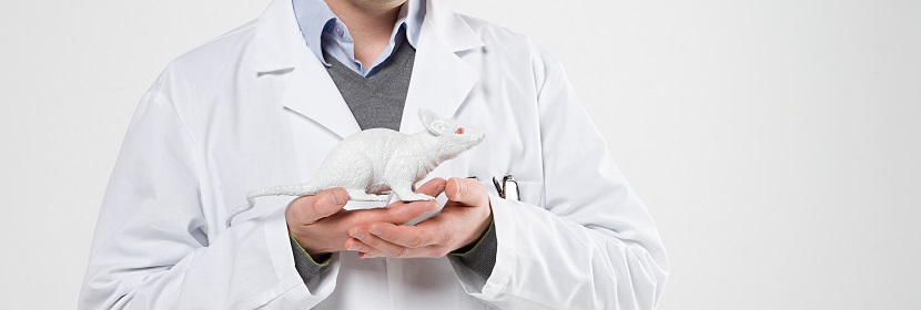 急性經(jīng)口毒性試驗