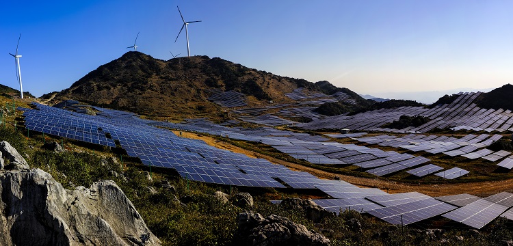 薯蕷皂素檢測(cè)