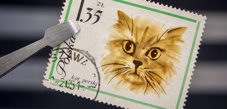 辛二醇檢測(cè)