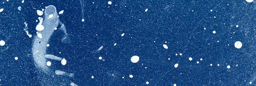 固氮菌檢測(cè)