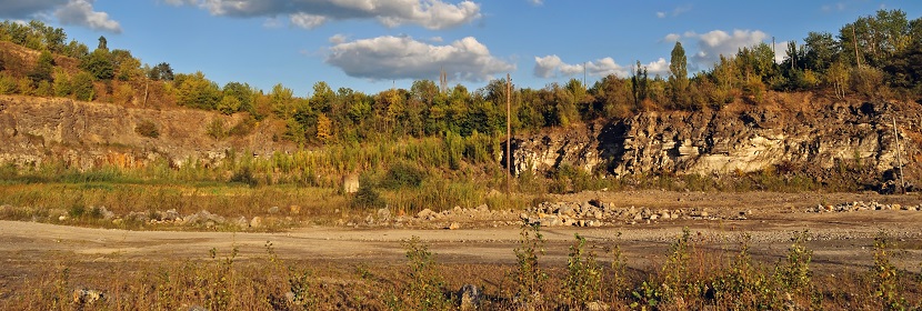 二水合草酸檢測