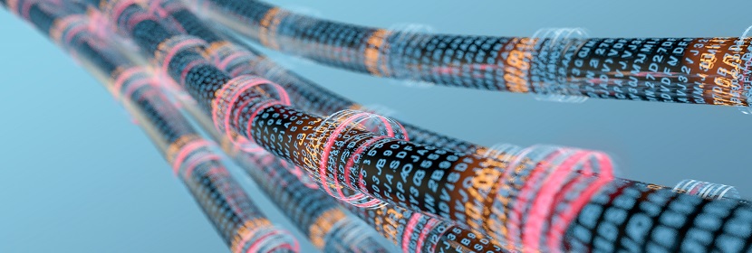 硝酸離子檢測(cè)