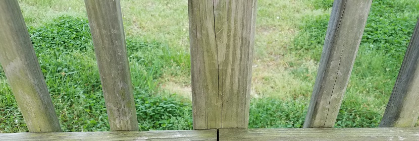 醫用有機硅材料測試