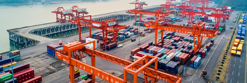 紅薯檢測,紅薯檢測機構(gòu),紅薯檢測報告