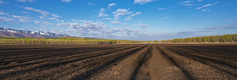 耕地土壤剝離檢測(cè)