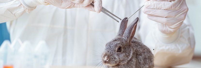 一次性使用衛(wèi)生用品皮膚變態(tài)反應(yīng)試驗(yàn)