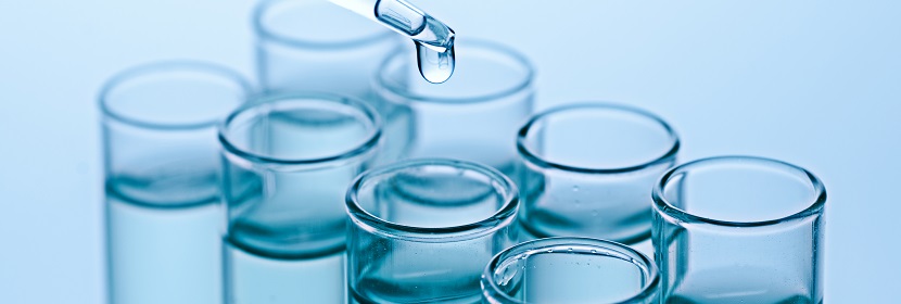 化學(xué)品細(xì)胞微核試驗(yàn)