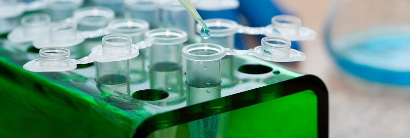 化學(xué)品顯性致死試驗