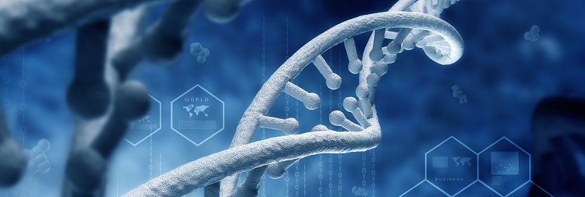 化學(xué)品染色體畸變試驗