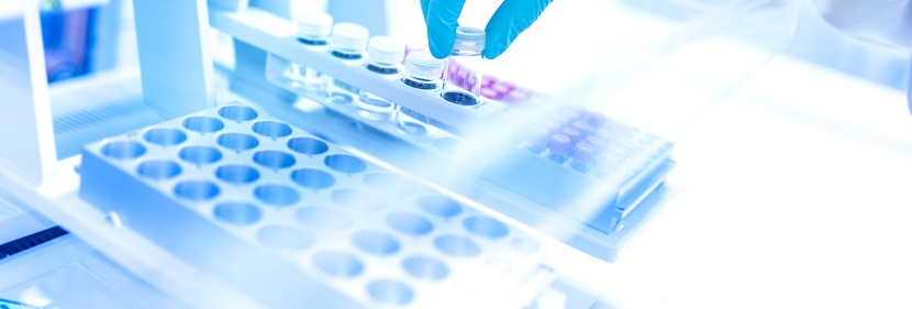 一次性紙制品降解性能評價(jià)