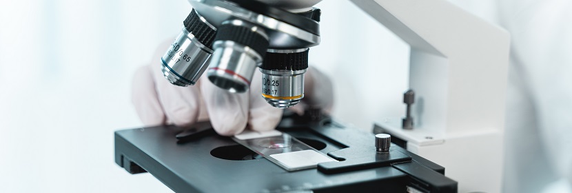 甲基二硅氮烷偶聯劑檢測