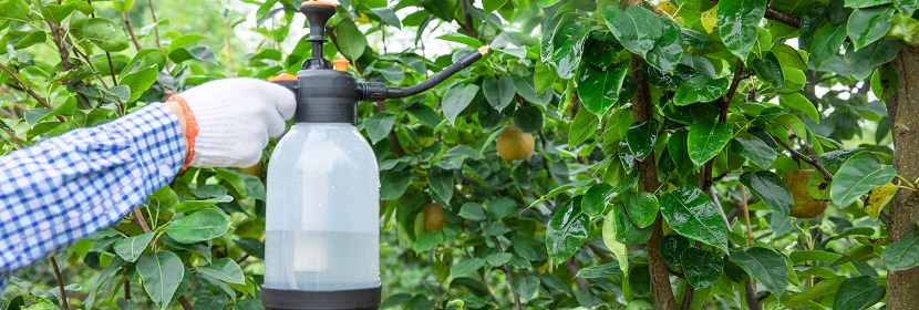 農(nóng)藥登記毒理學(xué)試驗